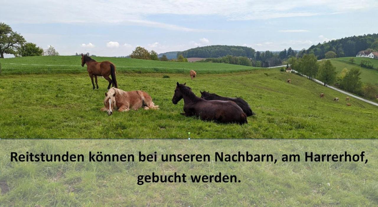 Ursteirerhof - Familie Kerschbaumer Paalsdorf Ngoại thất bức ảnh